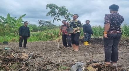 Hijaukan Bulak Pengkol, Lurah Wijirejo Sulap Lahan Tidur Jadi Kebun Buah Produktif